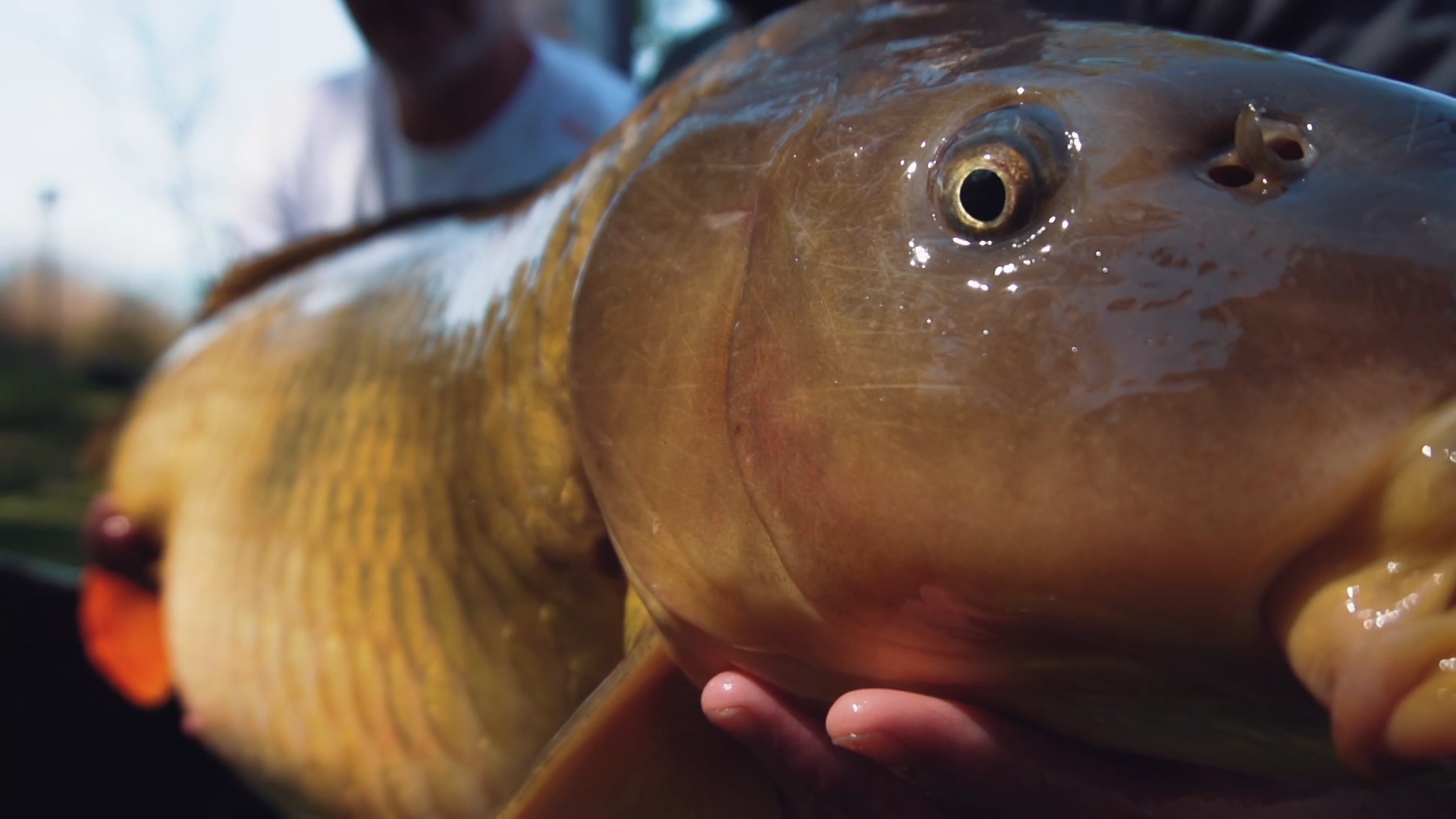 IBCC 2023. 1. díl - The Fishing and Hunting Channel