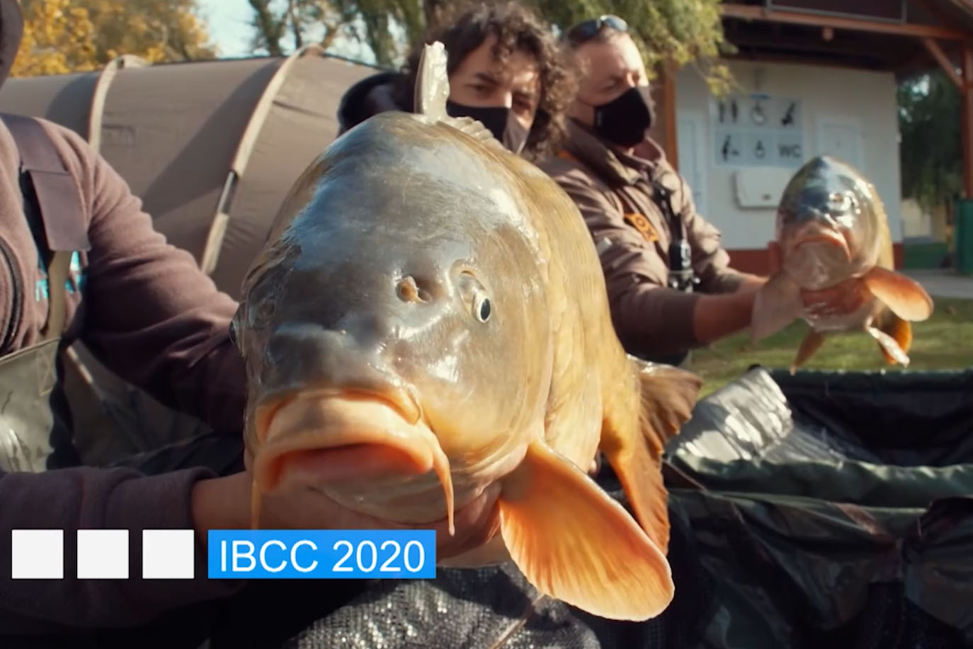 IBCC 2020. - The Fishing and Hunting Channel