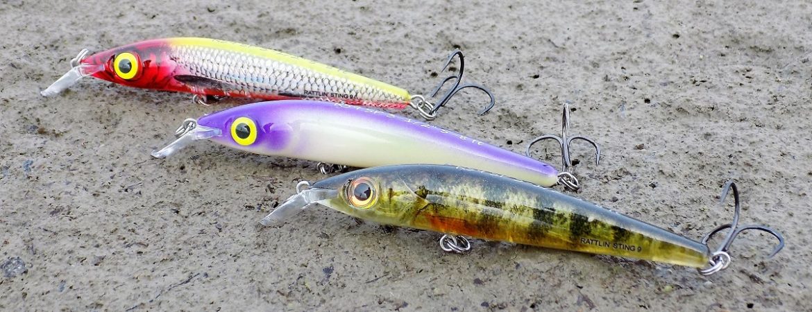 Lure of the Month: Salmo Rattlin Sting – The Fishing & Hunting