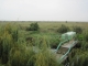 PFL-2 (2)