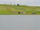 DSC_9000