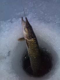 3-pescuit-iarna