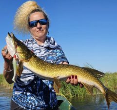 Visul unei stiuci de vară - Partea 2