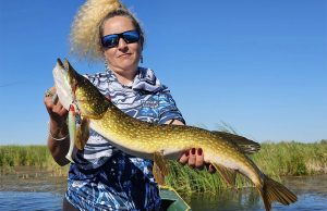 Visul unei stiuci de vară - Partea 2