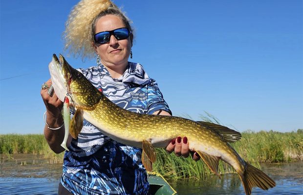 Visul unei stiuci de vară - Partea 2